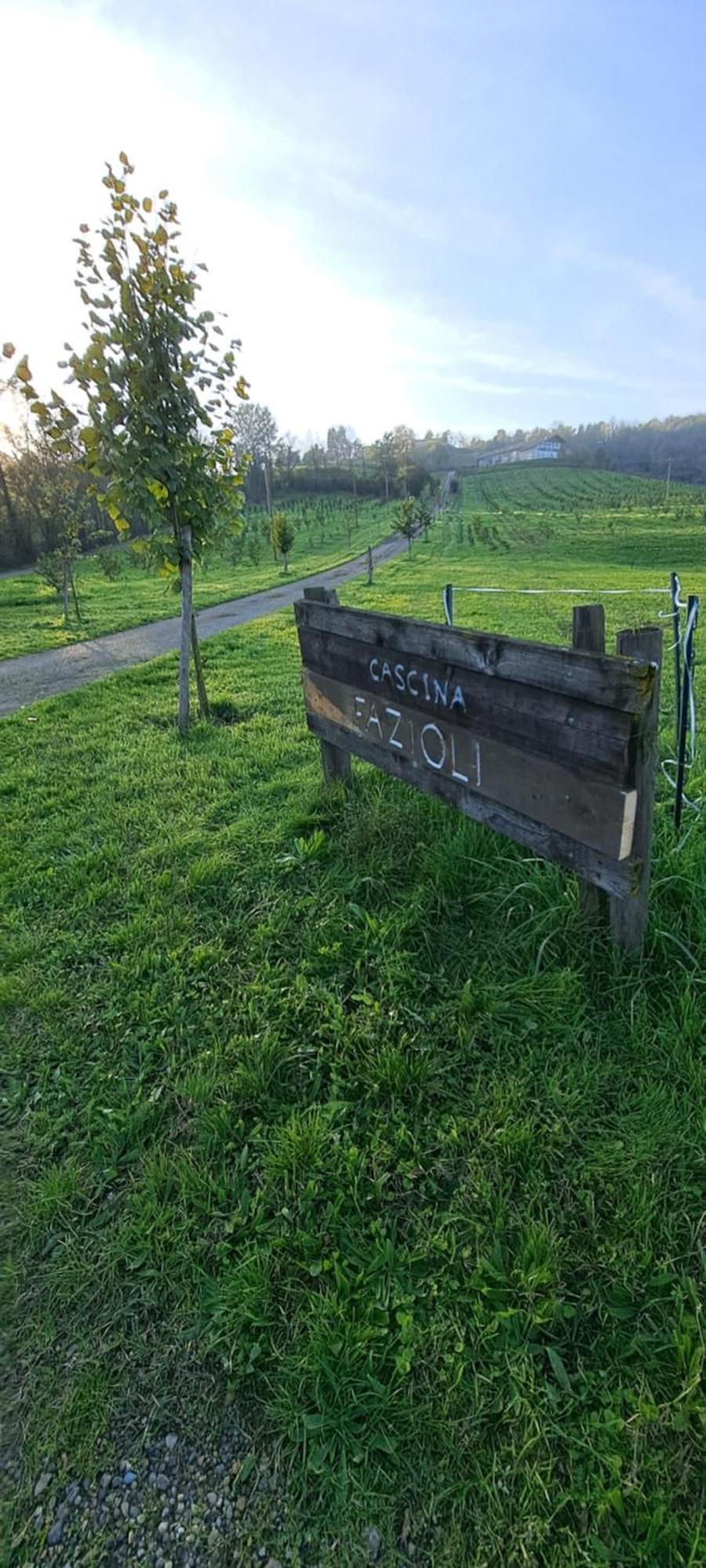 Villa Cascina Fazioli Alfiano Natta Exterior foto